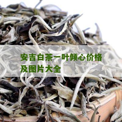 安吉白茶一叶倾心价格及图片大全