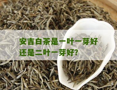 安吉白茶是一叶一芽好还是二叶一芽好？