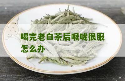 喝完老白茶后喉咙很服怎么办