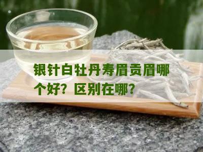 银针白牡丹寿眉贡眉哪个好？区别在哪？