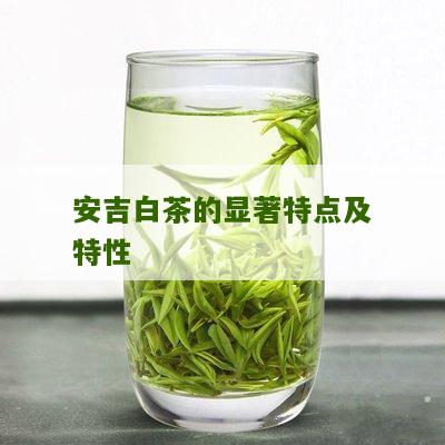 安吉白茶的显著特点及特性