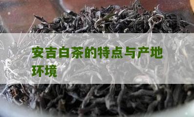 安吉白茶的特点与产地环境