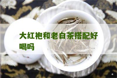 大红袍和老白茶搭配好喝吗