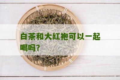 白茶和大红袍可以一起喝吗？