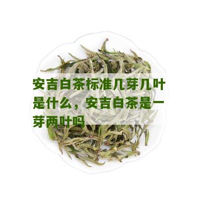 安吉白茶标准几芽几叶是什么，安吉白茶是一芽两叶吗