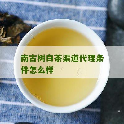 南古树白茶渠道代理条件怎么样