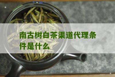 南古树白茶渠道代理条件是什么