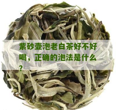 紫砂壶泡老白茶好不好喝，正确的泡法是什么？