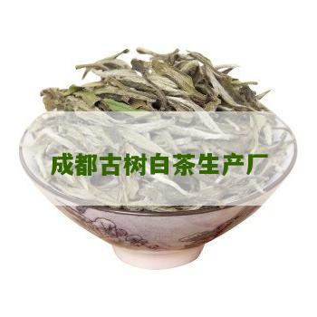 成都古树白茶生产厂