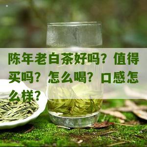 陈年老白茶好吗？值得买吗？怎么喝？口感怎么样？