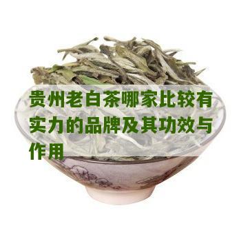 贵州老白茶哪家比较有实力的品牌及其功效与作用