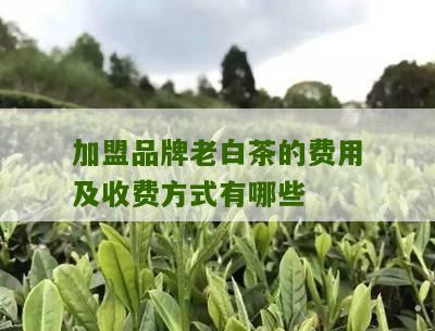 加盟品牌老白茶的费用及收费方式有哪些