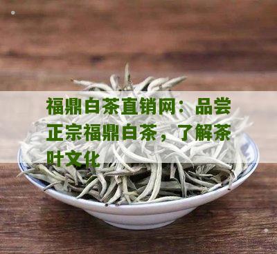 福鼎白茶直销网：品尝正宗福鼎白茶，了解茶叶文化