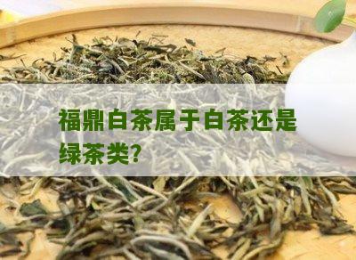 福鼎白茶属于白茶还是绿茶类？