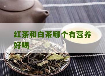 红茶和白茶哪个有营养好喝