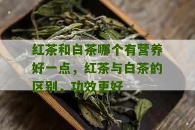 红茶和白茶哪个有营养好一点，红茶与白茶的区别，功效更好