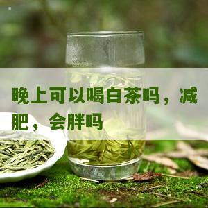 晚上可以喝白茶吗，减肥，会胖吗