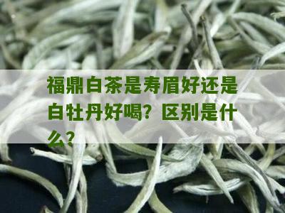 福鼎白茶是寿眉好还是白牡丹好喝？区别是什么？