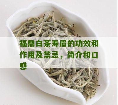 福鼎白茶寿眉的功效和作用及禁忌，简介和口感