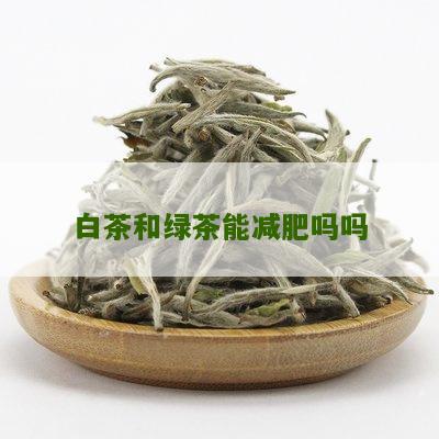 白茶和绿茶能减肥吗吗