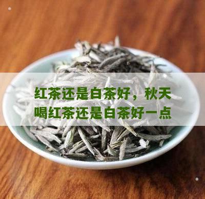 红茶还是白茶好，秋天喝红茶还是白茶好一点