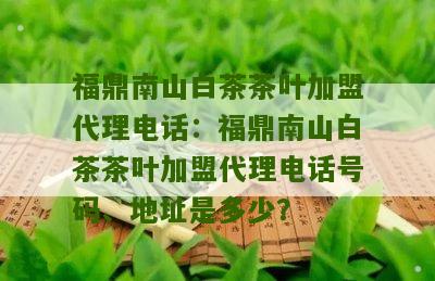 福鼎南山白茶茶叶加盟代理电话：福鼎南山白茶茶叶加盟代理电话号码、地址是多少？