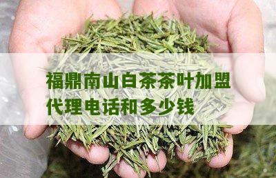 福鼎南山白茶茶叶加盟代理电话和多少钱