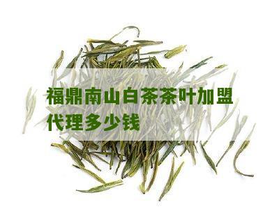 福鼎南山白茶茶叶加盟代理多少钱