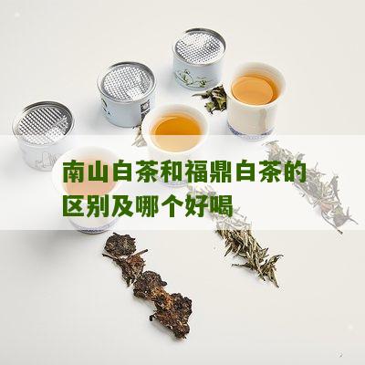 南山白茶和福鼎白茶的区别及哪个好喝