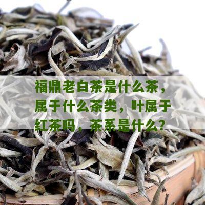 福鼎老白茶是什么茶，属于什么茶类，叶属于红茶吗，茶系是什么？