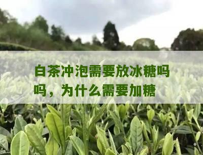 白茶冲泡需要放冰糖吗吗，为什么需要加糖