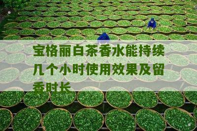 宝格丽白茶香水能持续几个小时使用效果及留香时长