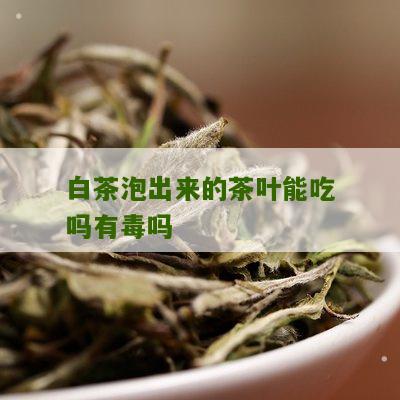 白茶泡出来的茶叶能吃吗有毒吗