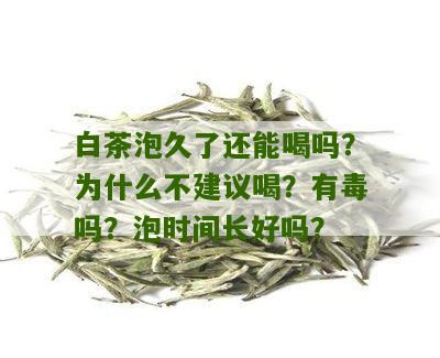 白茶泡久了还能喝吗？为什么不建议喝？有毒吗？泡时间长好吗？