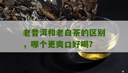 老普洱和老白茶的区别，哪个更爽口好喝？