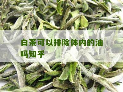 白茶可以排除体内的油吗知乎