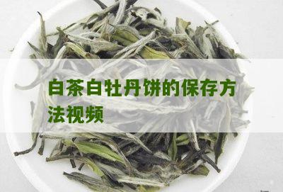 白茶白牡丹饼的保存方法视频