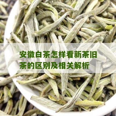 安徽白茶怎样看新茶旧茶的区别及相关解析