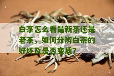 白茶怎么看是新茶还是老茶，如何分辨白茶的好坏及是否变质？