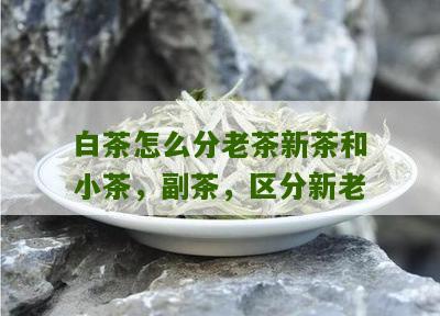 白茶怎么分老茶新茶和小茶，副茶，区分新老