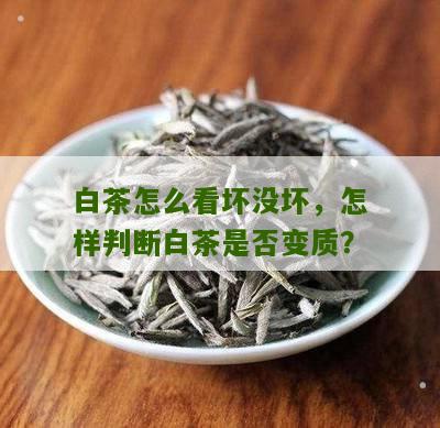 白茶怎么看坏没坏，怎样判断白茶是否变质？