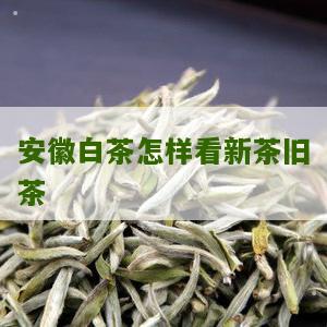 安徽白茶怎样看新茶旧茶