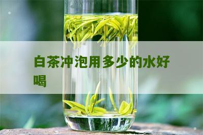 白茶冲泡用多少的水好喝