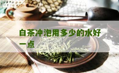 白茶冲泡用多少的水好一点