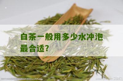 白茶一般用多少水冲泡最合适？