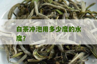 白茶冲泡用多少度的水度？