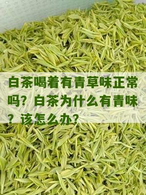 白茶喝着有青草味正常吗？白茶为什么有青味？该怎么办？