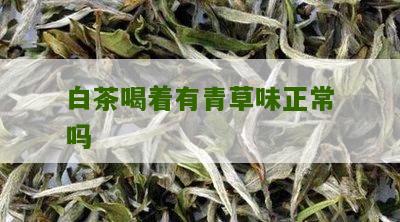 白茶喝着有青草味正常吗