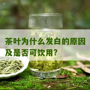 茶叶为什么发白的原因及是否可饮用?