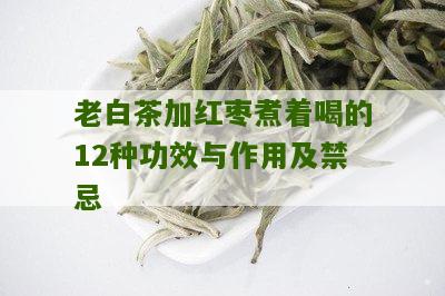 老白茶加红枣煮着喝的12种功效与作用及禁忌